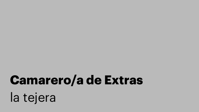Camarero/a de Extras