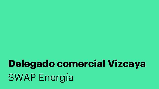 Delegado comercial Vizcaya