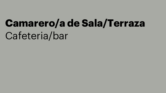 Camarero/a de Sala/Terraza