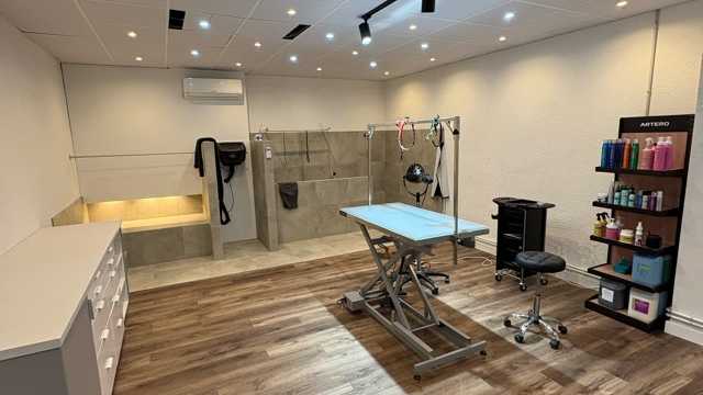 Peluquero/a canino profesional