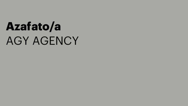 Azafato/a