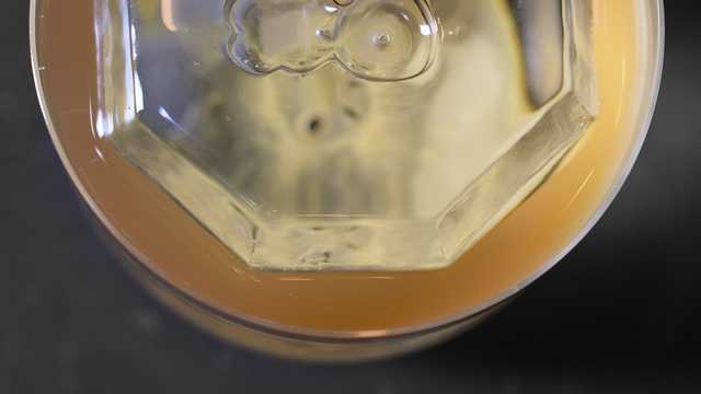 Ayudante de Sumiller - RavioXO