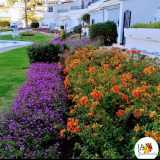 Jardinería JAM  avatar icon