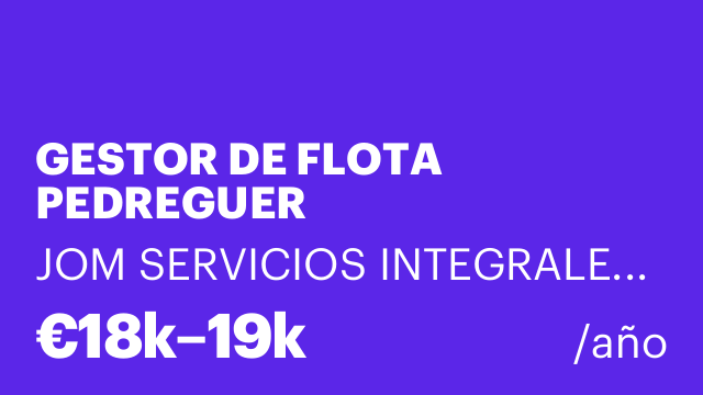 GESTOR DE FLOTA PEDREGUER
