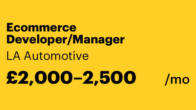 Ecommerce Developer/Manager
