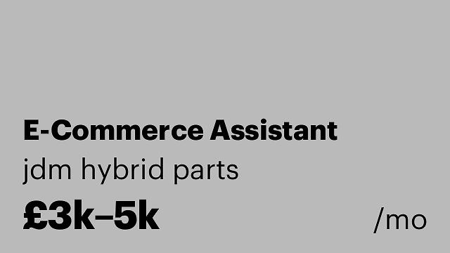 E-Commerce Assistant