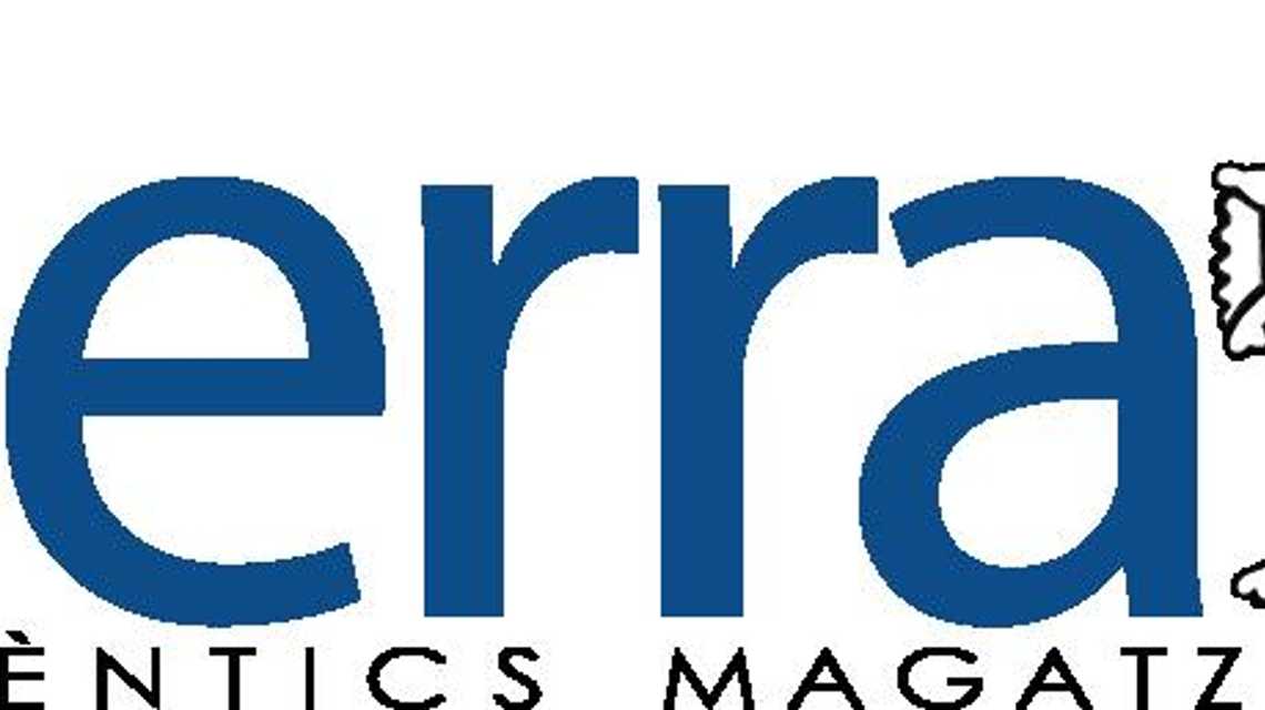 AUTENTICS MAGATZEMS SERRA - PINTURES | ESCUMES A MIDA | TERRES VINILICS | cover image