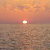 Carlos E. avatar icon