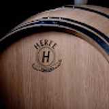 TONELERIA H. avatar icon