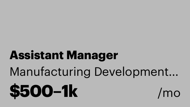Assistant Manager