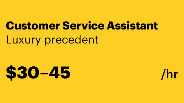 Customer Service Assistant