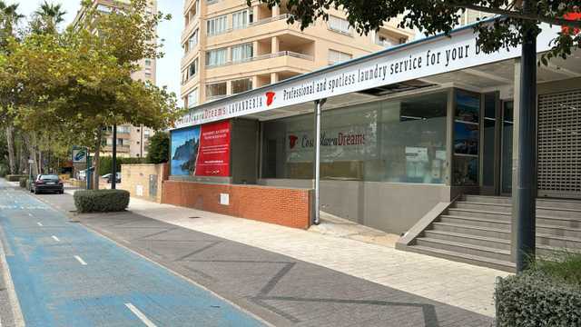 Ayudante/a de Lavandería