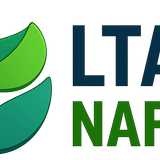 Emilio  N. avatar icon