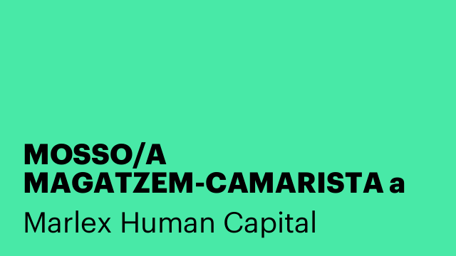 MOSSO/A MAGATZEM-CAMARISTA a MITJA JORNADA