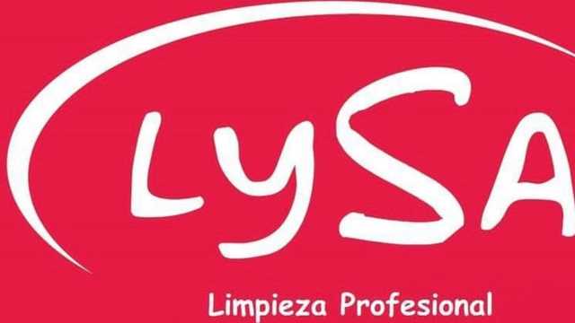 Limpiador/a