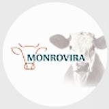 Monrovira  avatar icon