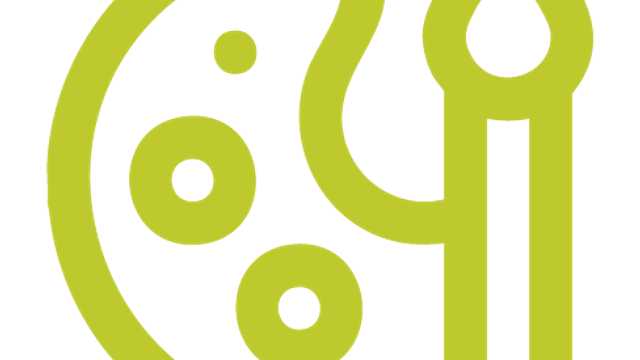 monitor ludoplástica