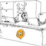 Oasis T. avatar icon