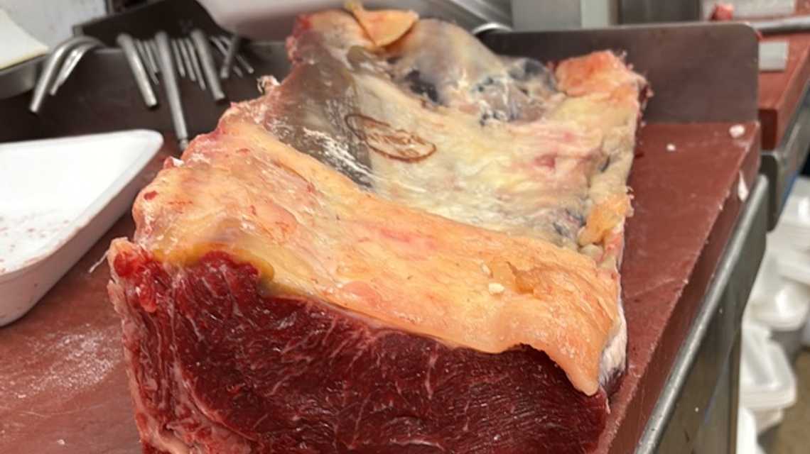 SUPERMERCADOS DE LA CARNE PIC  cover image