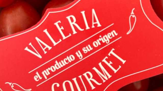 Camarero/a y Dependiente/a