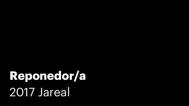 Reponedor/a