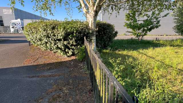 Landscape Gardener