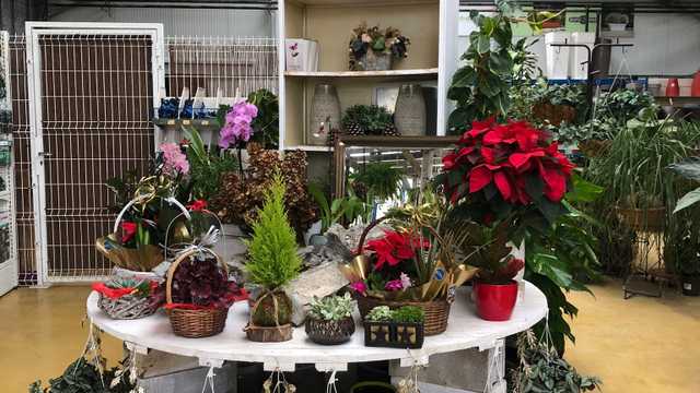 Dependiente/a de Tienda