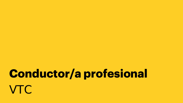 Conductor/a profesional