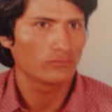 wilfredo M. avatar icon