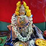 Sneha N. avatar icon