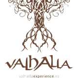 ValhallaExperience logo