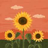 Sacramento M. avatar icon