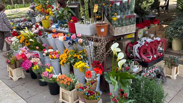 Ayudante/a de Florista