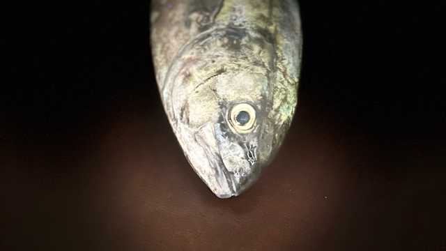 Camarero/a de Restaurante