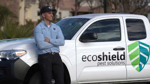 Door to Door Salesman