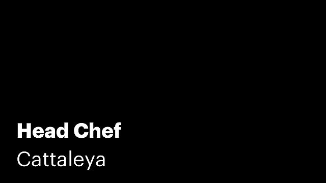Head Chef