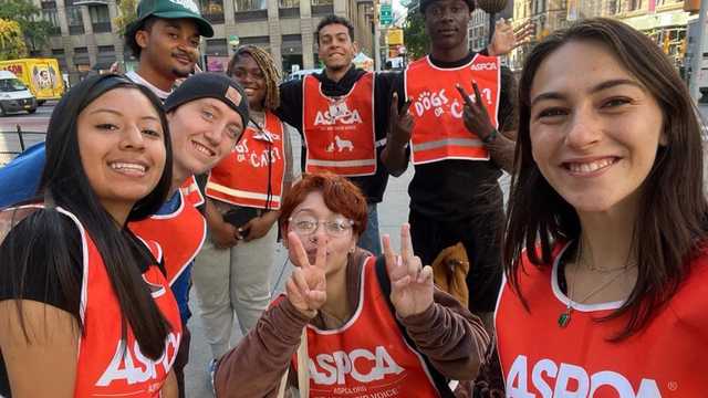 Fundraiser/Canvasser for Non-Profits