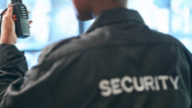 Vigilante de Seguridad