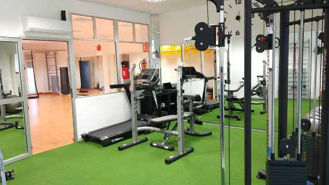 Entrenador/a