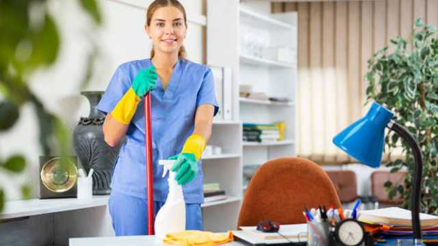 Domestic Cleaner