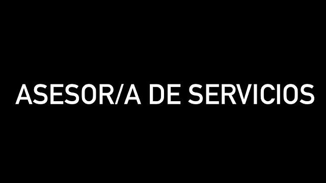 Asesor/a de servicios