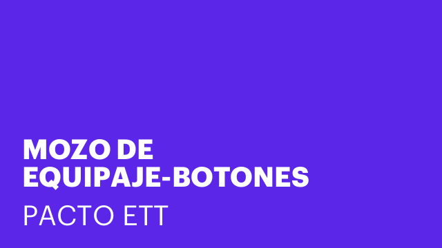 MOZO DE EQUIPAJE-BOTONES HOTELES 4* Y 5* (EXTRA)