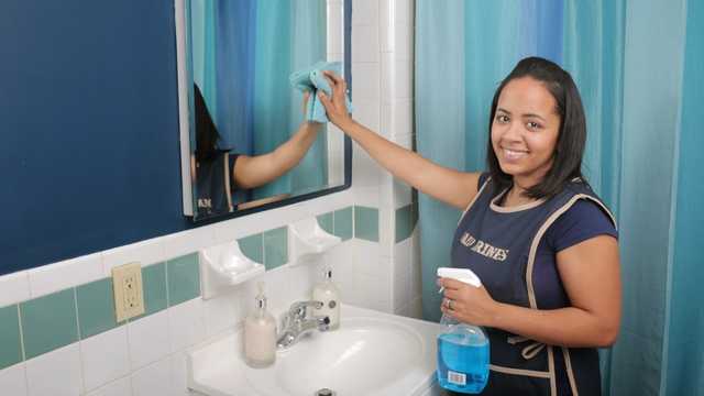 House Cleaner