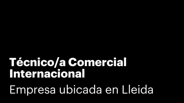 Técnico/a Comercial Internacional (Exportación-Importación)
