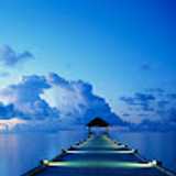 Laura R. avatar icon