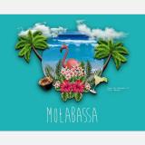 Adrian M. avatar icon