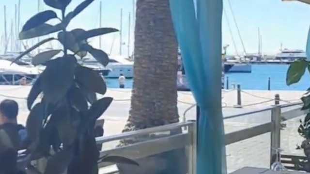 Ayud de camarero