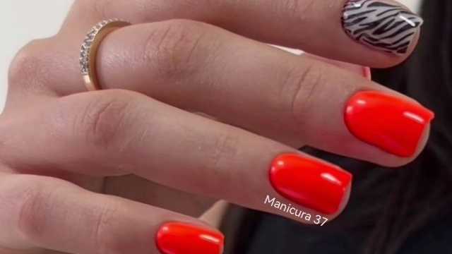 Técnico/a de Uñas