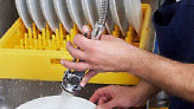 URGENTE! Ayudante/a de Cocina y Friegaplatos