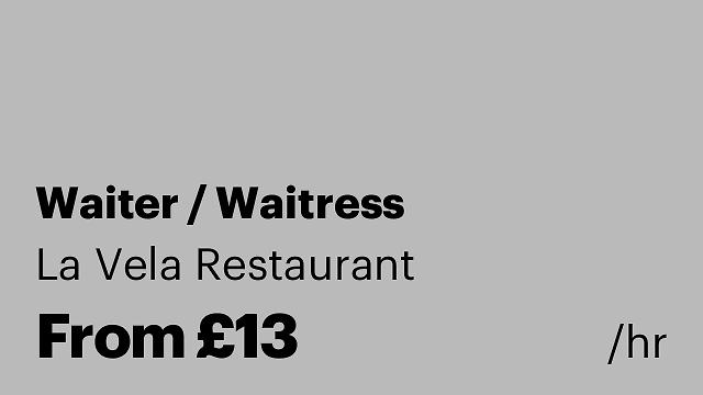 Waiter / Waitress